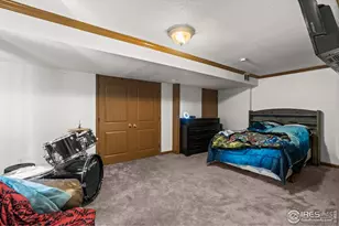 1130 S Marjorie Ave, Milliken, CO 80543 - Photo 24