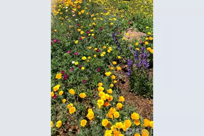 1190 Albion Rd, Boulder, CO 80305 - Photo 40