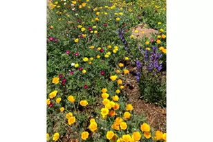 1190 Albion Rd, Boulder, CO 80305 - Photo 40