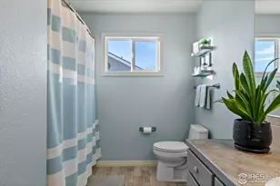 3527 Green Spring Dr, Fort Collins, CO 80528 - Photo 34