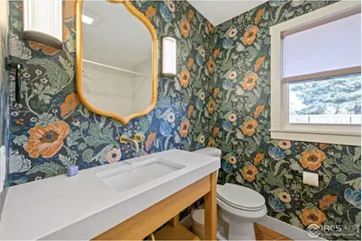1316 E Pitkin St, Fort Collins, CO 80524 - Photo 36