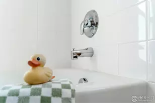 4207 San Marco Dr, Longmont, CO 80503 - Photo 28