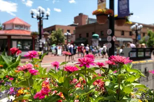 7401 Deerfield Rd, Longmont, CO 80503 - Photo 48