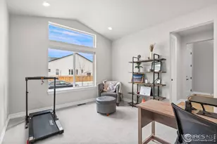 4344 Shivaree Ct, Timnath, CO 80547 - Photo 22