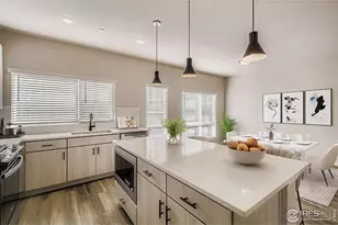 919 Schlagel St, Fort Collins, CO 80524 - Photo 6