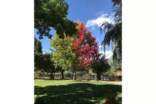 4963 Kelso Rd, Boulder, CO 80301 - Photo 38