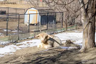 4963 Kelso Rd, Boulder, CO 80301 - Photo 42