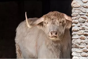 4963 Kelso Rd, Boulder, CO 80301 - Photo 36