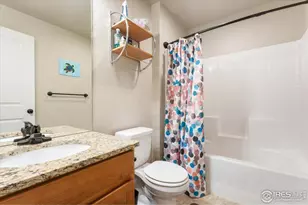 3804 Buckthorn St, Wellington, CO 80549 - Photo 32