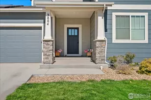 3804 Buckthorn St, Wellington, CO 80549 - Photo 6