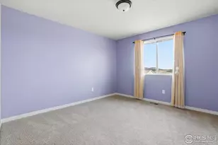 3804 Buckthorn St, Wellington, CO 80549 - Photo 30