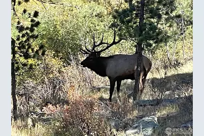 1475 Lower Broadview Rd, Estes Park, CO 80517 - Photo 8