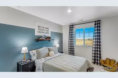 865 Trumpet Ln, Windsor, CO 80550 - Photo 28