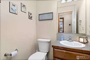 4479 Bragg Ln, Wellington, CO 80549 - Photo 6