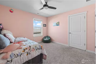 1255 Baker Pass St, Severance, CO 80550 - Photo 28