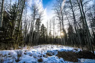 172 Thorn Cir, Black Hawk, CO 80422 - Photo 30