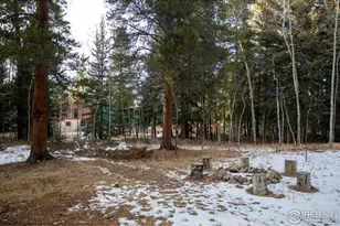 172 Thorn Cir, Black Hawk, CO 80422 - Photo 36