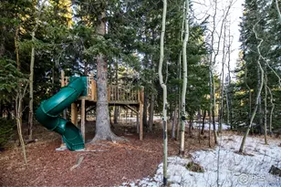 172 Thorn Cir, Black Hawk, CO 80422 - Photo 34