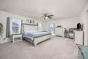 3725 Catmint St, Wellington, CO 80549 - Photo 22