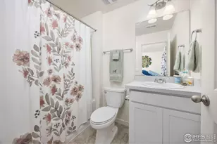 3725 Catmint St, Wellington, CO 80549 - Photo 28