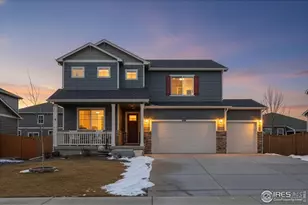 3725 Catmint St, Wellington, CO 80549 - Photo 38