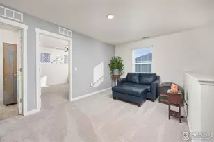 3725 Catmint St, Wellington, CO 80549 - Photo 20