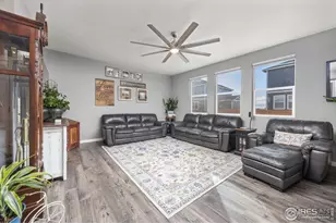 3725 Catmint St, Wellington, CO 80549 - Photo 12