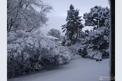 1327 Audubon Pl, Loveland, CO 80538 - Photo 42