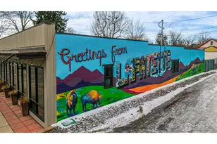 167 Salina St, Lafayette, CO 80026 - Photo 44