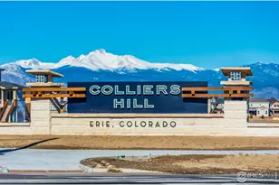 168 Horizon Ave, Erie, CO 80516 - Photo 42