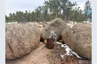 11741 County Road 67J, Livermore, CO 80536 - Photo 26