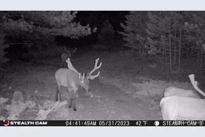 11741 County Road 67J, Livermore, CO 80536 - Photo 14