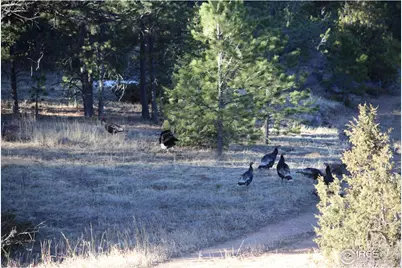 11741 County Road 67J, Livermore, CO 80536 - Photo 38