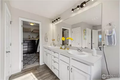 5247 Alberta Falls St, Timnath, CO 80547 - Photo 22