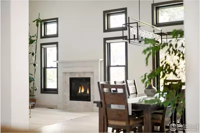 20132 E Shady Ridge Rd, Parker, CO 80134 - Photo 4