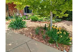 2253 Spinnaker Cir, Longmont, CO 80503 - Photo 46