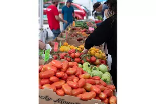 1627 17th St, Boulder, CO 80302 - Photo 40