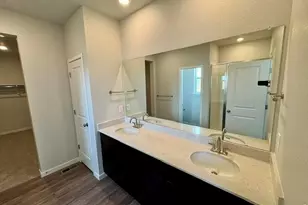 827 Mesic Ln, Windsor, CO 80550 - Photo 12