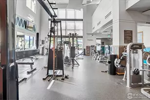 1860 Seadrift Ct, Windsor, CO 80550 - Photo 34