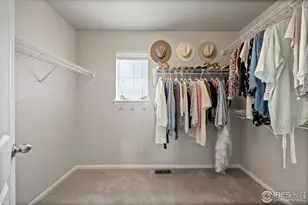 387 Seahorse Dr, Windsor, CO 80550 - Photo 28