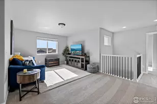 356 Blue Star Dr, Windsor, CO 80550 - Photo 20