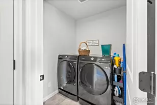 356 Blue Star Dr, Windsor, CO 80550 - Photo 22