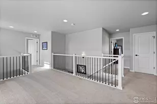 356 Blue Star Dr, Windsor, CO 80550 - Photo 18