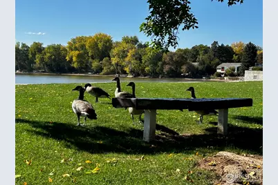 3036 Regatta Ln #2, Fort Collins, CO 80525 - Photo 22