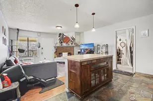 1118 City Park Ave, Fort Collins, CO 80521 - Photo 6