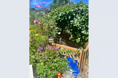 4593 Colorado River Dr, Firestone, CO 80504 - Photo 26