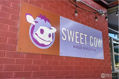 896 Welsh Ct, Louisville, CO 80027 - Photo 44