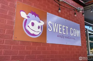 896 Welsh Ct, Louisville, CO 80027 - Photo 44