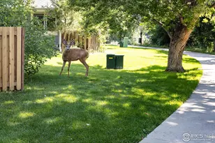 1180 Monroe Dr, Boulder, CO 80303 - Photo 26