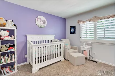 11535 Briarwood Ln, Parker, CO 80138 - Photo 30